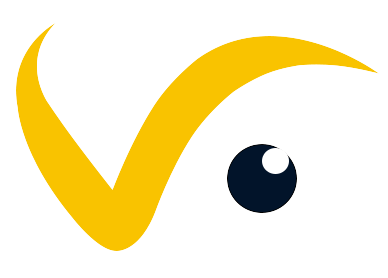 VisAct Logo